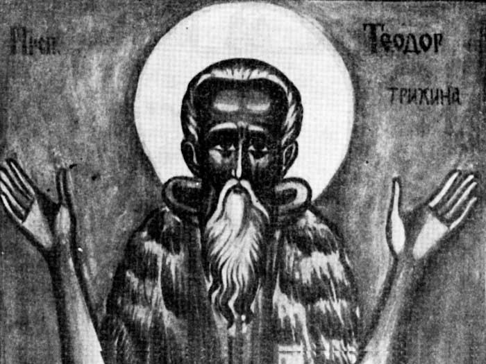 Venerable Theodore Trichinas