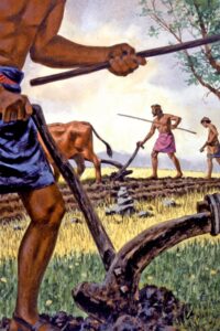 Plow in Hope